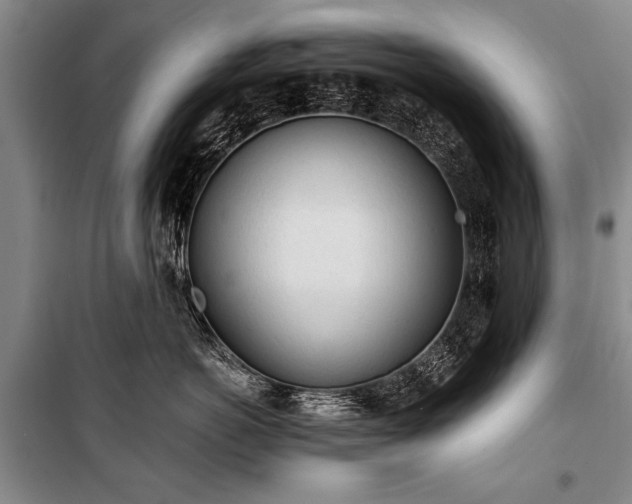 X0000100930766200807011221