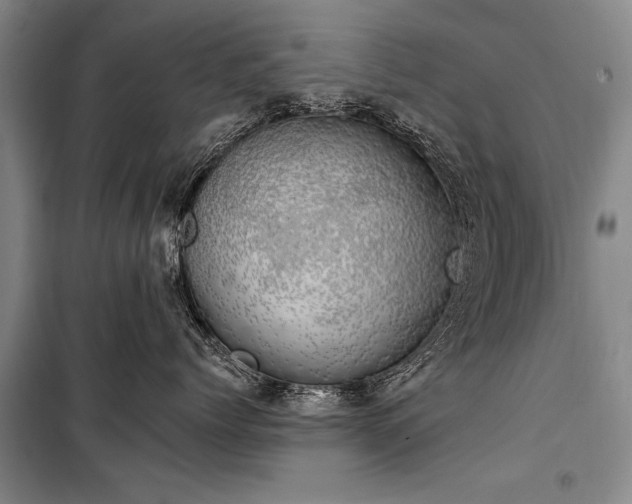 X0000100930768200807011221