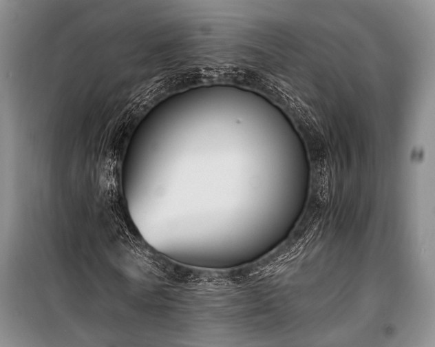 X0000100930770200807011220