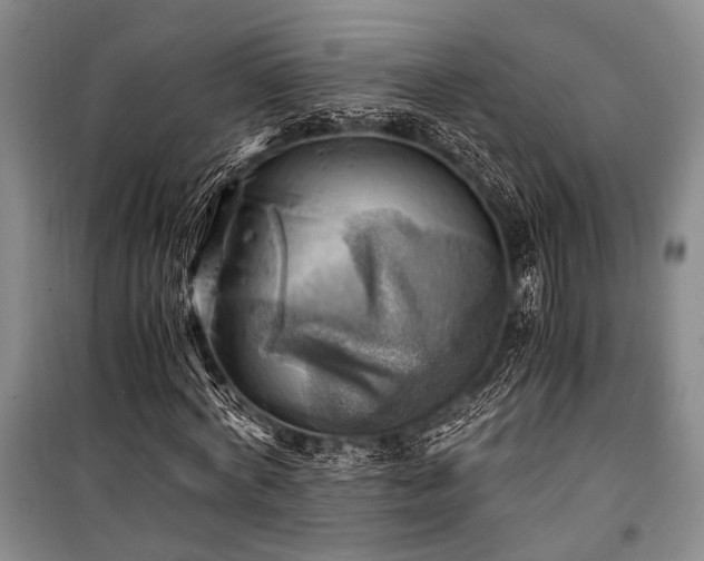 X0000100930772200807011220