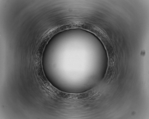 X0000100930773200807011220