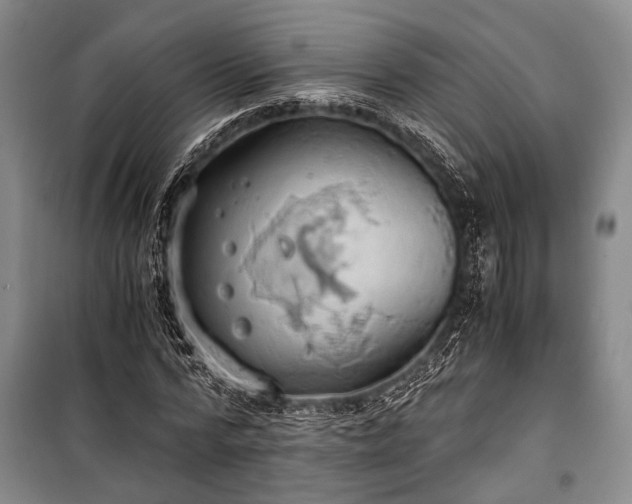 X0000100930776200807011220