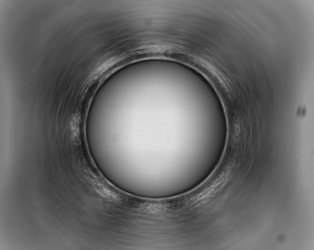 X0000100930778200807011220