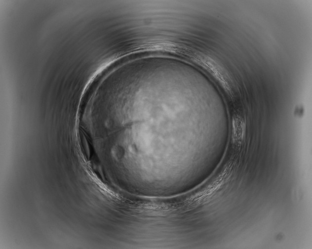 X0000100930780200807011220