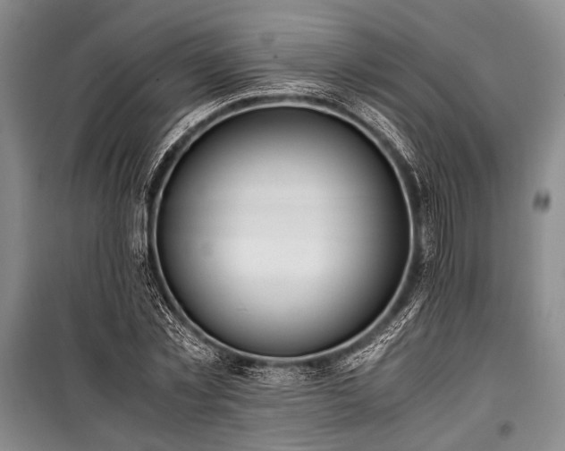 X0000100930781200807011220