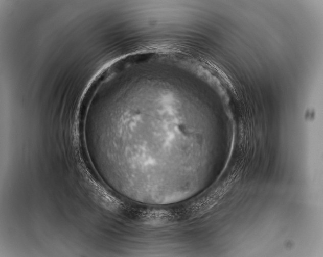 X0000100930784200807011220