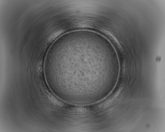 X0000100930785200807011220