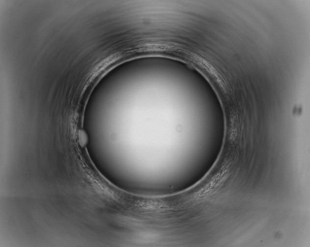 X0000100930786200807011220