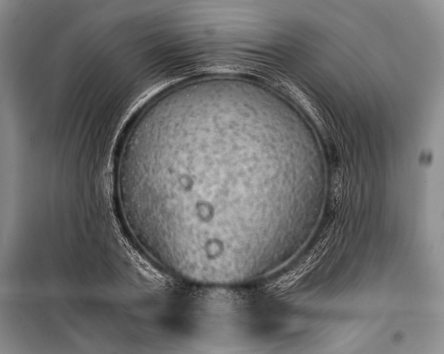 X0000100930787200807011220