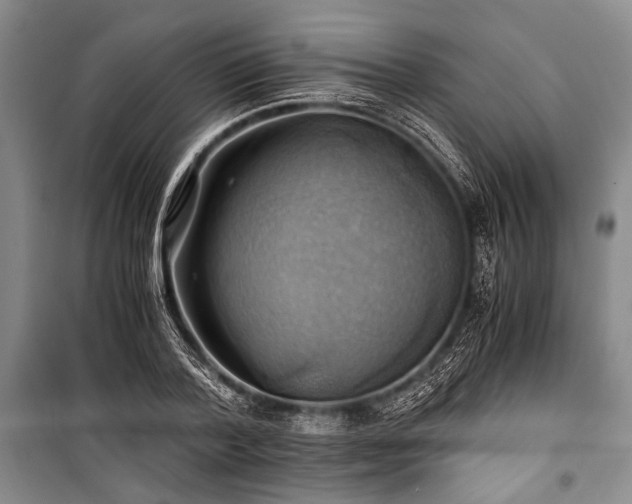 X0000100930788200807011220