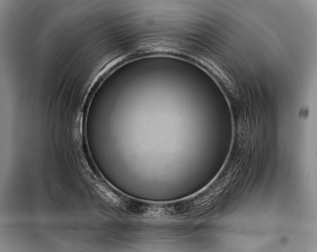 X0000100930790200807011220