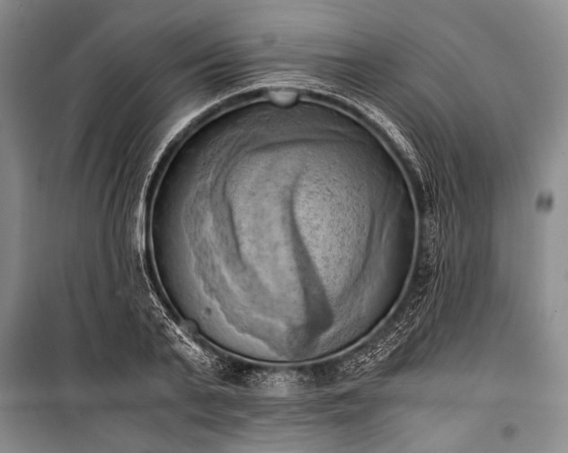 X0000100930791200807011220