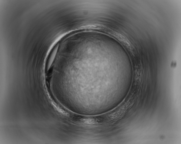 X0000100930792200807011220