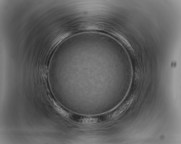 X0000100930793200807011220