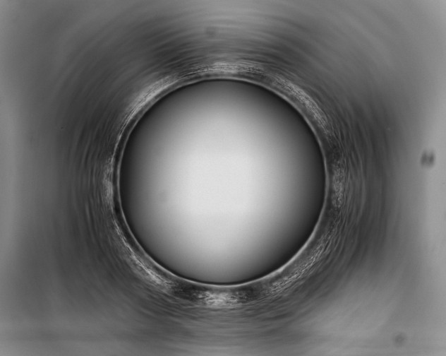 X0000100930794200807011220