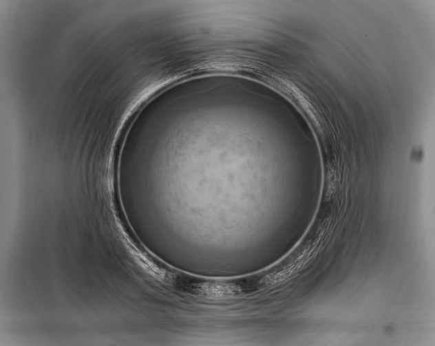 X0000100930795200807011220