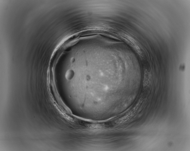 X0000100930796200807011220