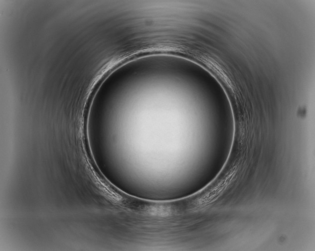 X0000100930797200807011220