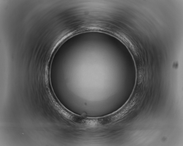 X0000100930798200807011220