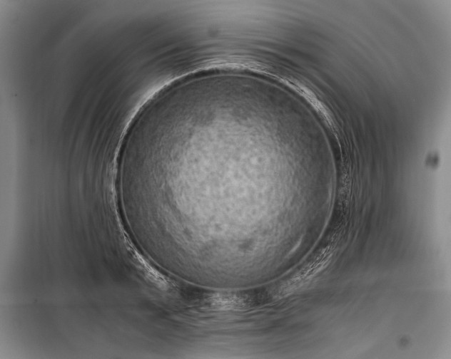 X0000100930799200807011220