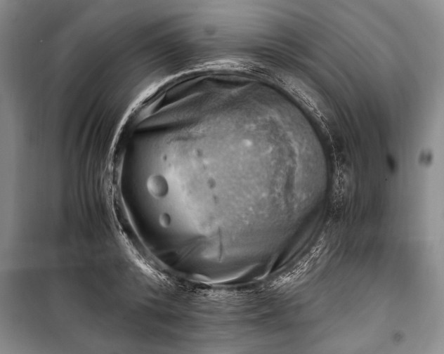 X0000100930800200807011220