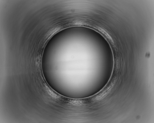 X0000100930801200807011220