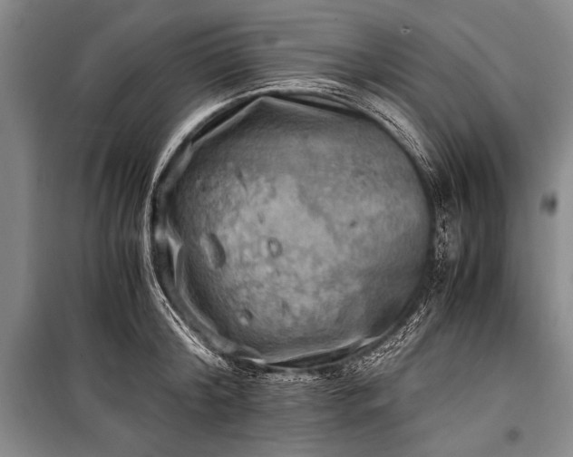 X0000100930804200807011220