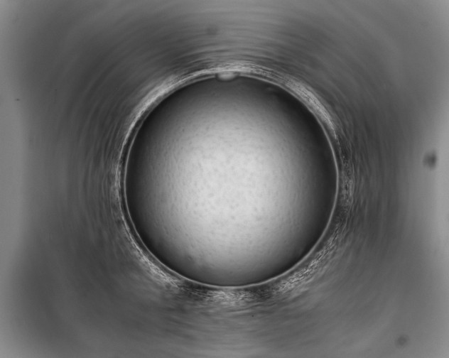 X0000100930805200807011220