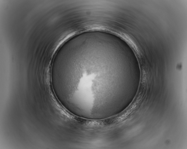 X0000100930806200807011220