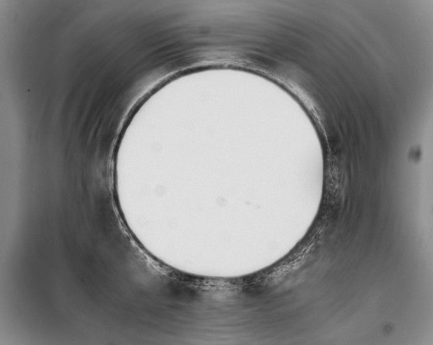 X0000100930807200807011220