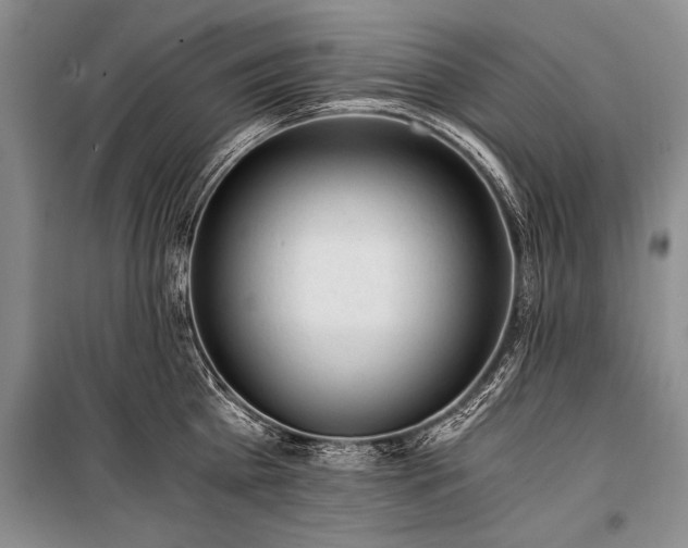 X0000100930809200807011220