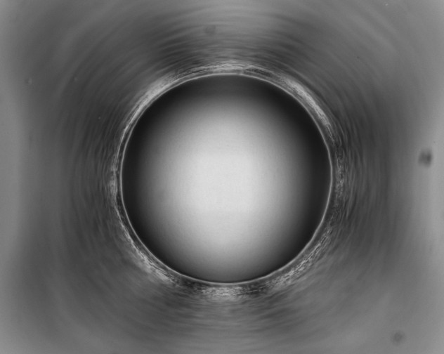 X0000100930810200807011220