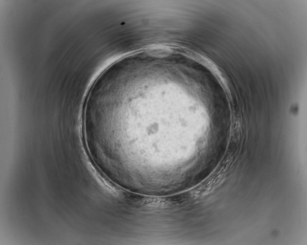 X0000100930811200807011220