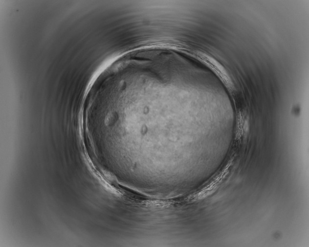 X0000100930812200807011220