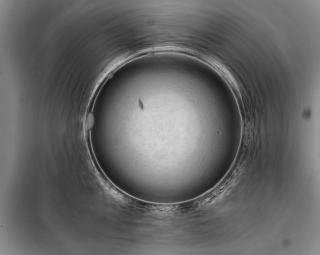 X0000100930813200807011220