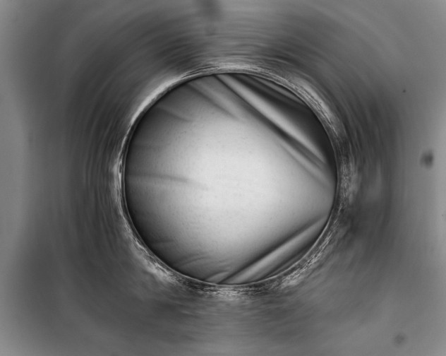 X0000100930814200807011220