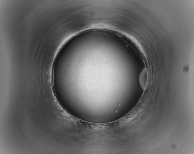 X0000100930815200807011220