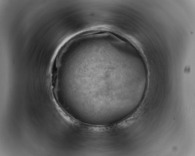 X0000100930816200807011220