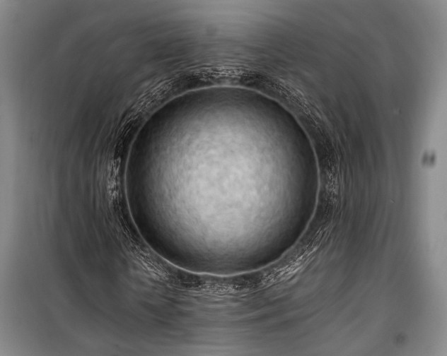 X0000100930818200807011219