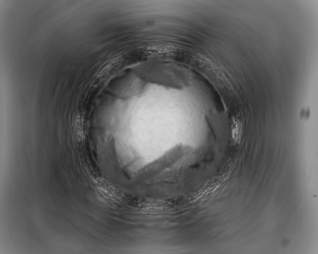 X0000100930819200807011219