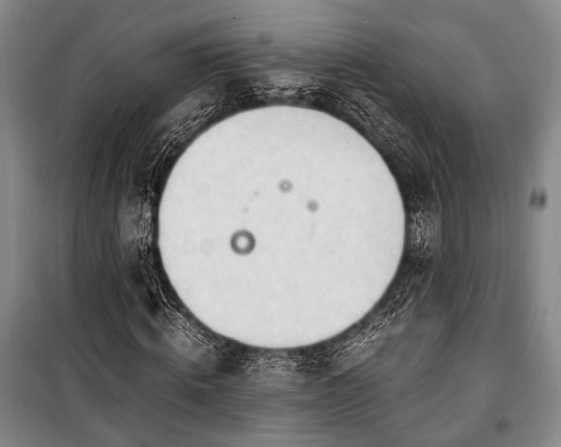 X0000100930820200807011219