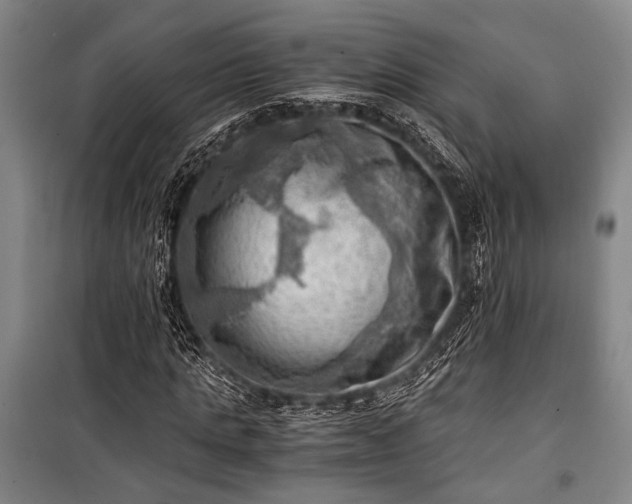 X0000100930821200807011219