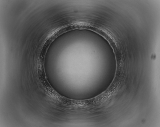 X0000100930823200807011219