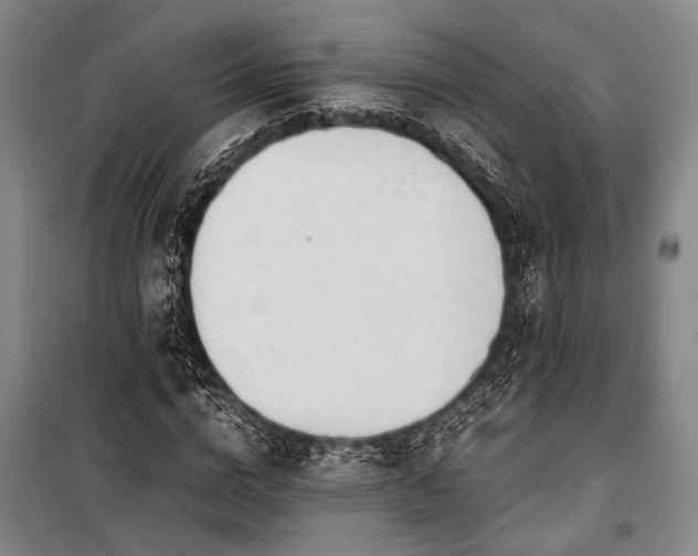 X0000100930824200807011219