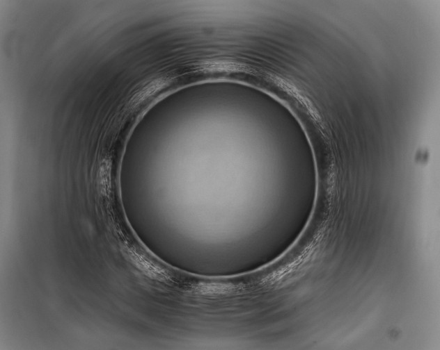 X0000100930825200807011219