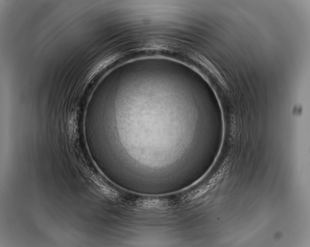 X0000100930826200807011219