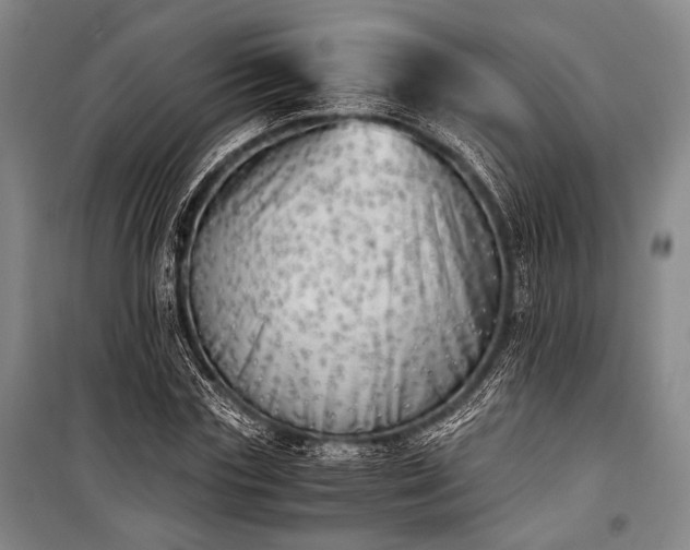 X0000100930827200807011219
