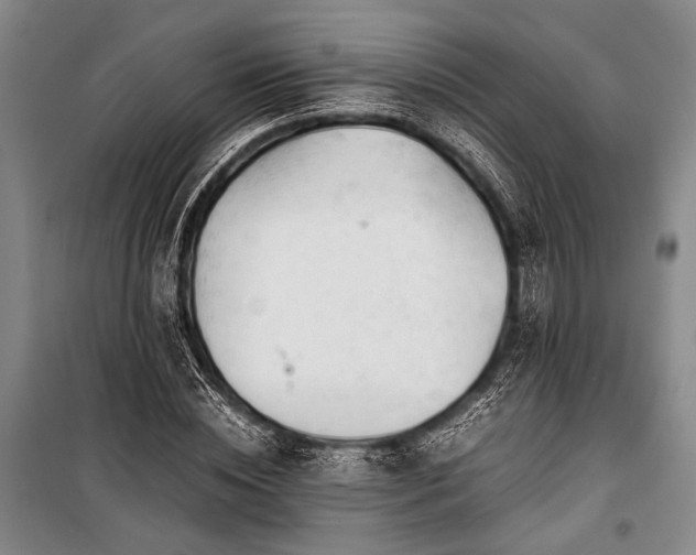 X0000100930828200807011219