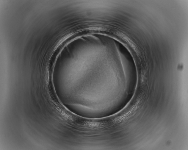 X0000100930829200807011219