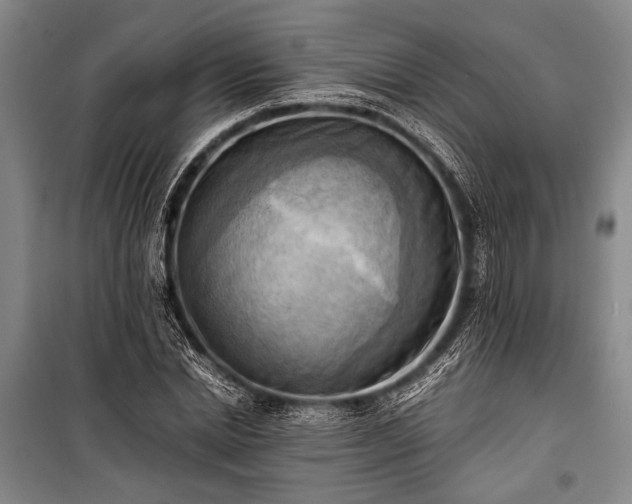 X0000100930830200807011219